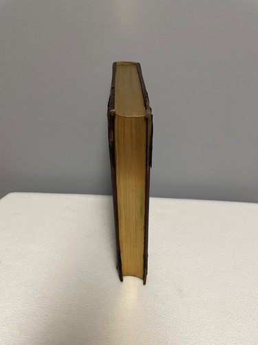 1892 Character Sketches of Romance Fiction and the Drama Book, vol IV - Picture 5 of 11