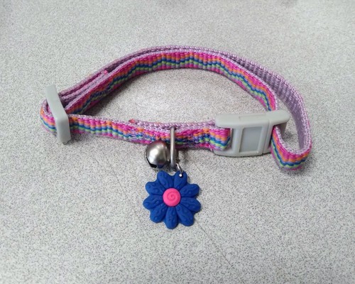 Hamilton Pixie Pet Collection 3/8" x 6-10" Dog/Cat Collar - Picture 3 of 9