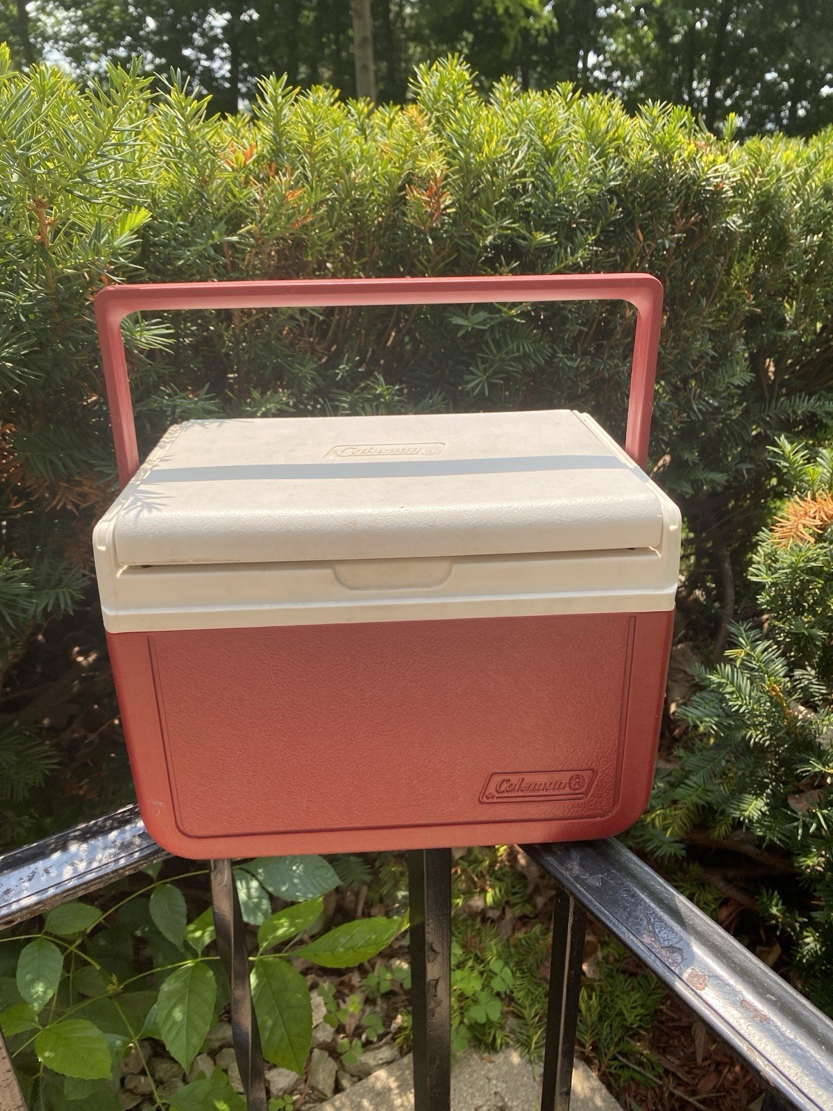 Flip Lid Model 5205