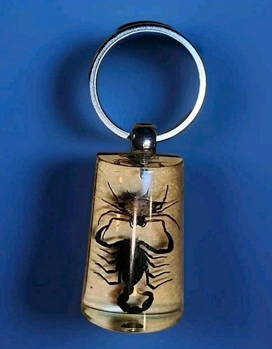 Creepy Real Fighting Spiny Spider & Black Scorpion 3" Keychain 