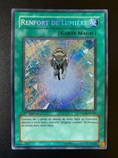 RENFORT DE LUMIERE CHARGE OF THE LIGHT BRIGADE SECRET TDGS-FR089 1ST ED FRANZÖSISCH