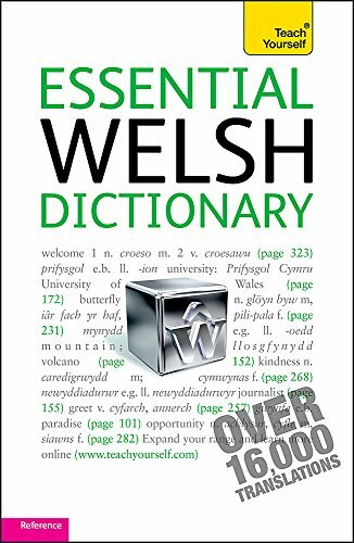 Essential Welsh Dictionary: Teach Yourself - Image 5