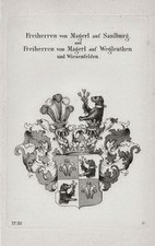 1830 Magerl Saulburg Wiesenfelden Wappen coat of arms Kupferstich engraving
