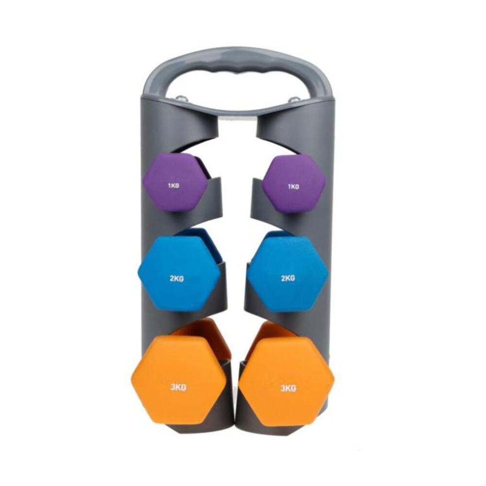 SET SUPPORTO ESPOSITORE PORTATILE + COPPIE MANUBRI PESI PALESTRA 0,5KG+1KG+1,5KG foto 2