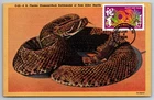 3895f Chinese Lunar New Year Snake FDC Maxi Card