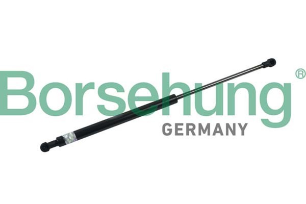 Gasfeder Motorhaube Borsehung B18453 FüR 3D4 Phaeton 3D2 3D3 3D1 Vw 3D8 3D6 3D7-image