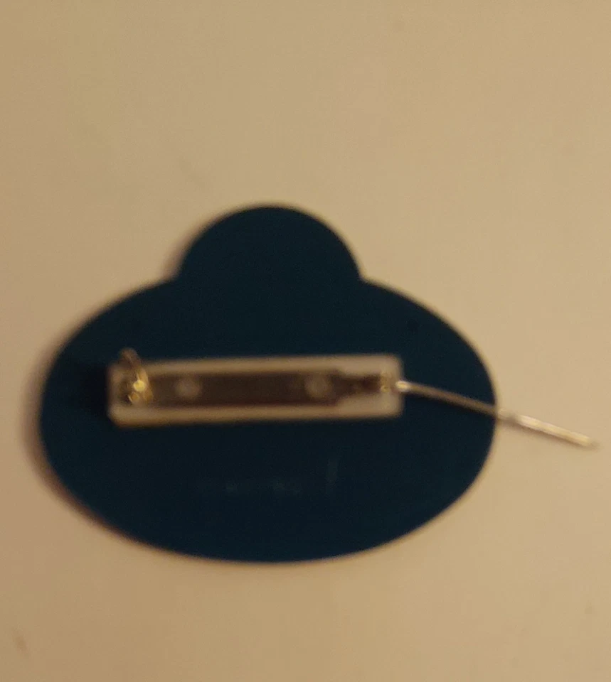 Vtg 1996 Walt Disney World WDW 25 Yr Cast Member Name Tag Pin "Linda/Suny Delhi" - Image 3 of 4