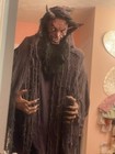 Spirit Halloween Forest Demon Retired Halloween Animatronic Prop W/box — photo 9
