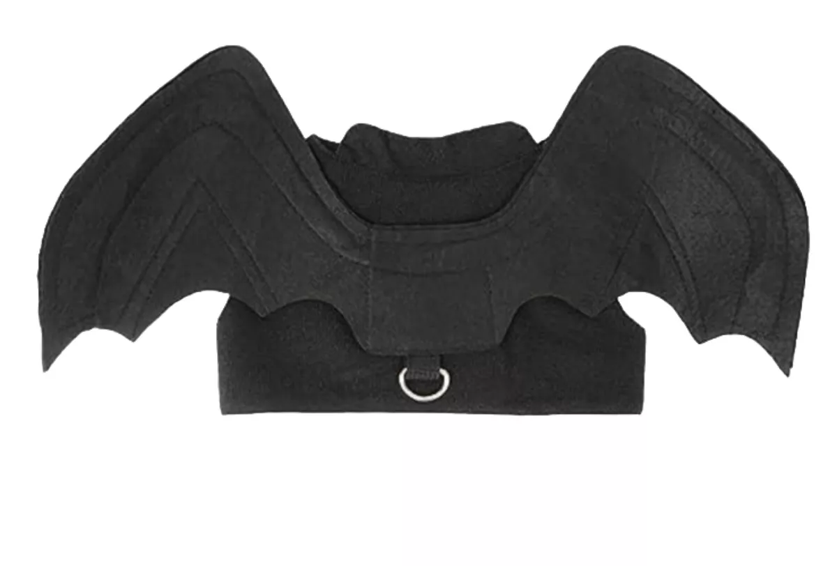 Dog bat wings clearance harness
