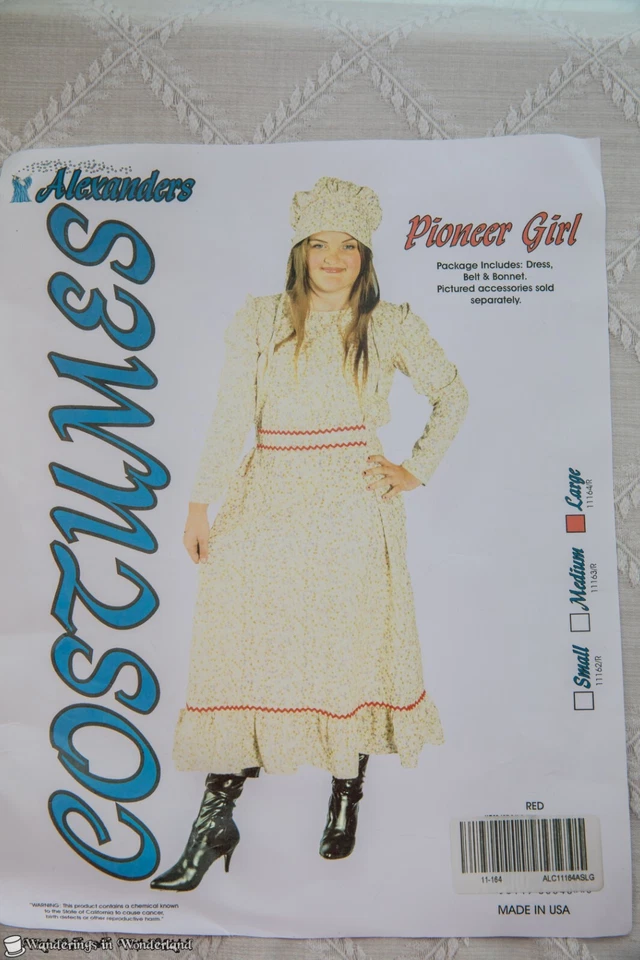 Disfraz Niña Pionera Grande 10-12 Rosa Vestido Pradera Fiesta Halloween Foto 4 de 4