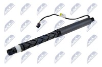 AE-VV-045 NTY Gasfeder, Koffer-/Laderaum FüR Volvo