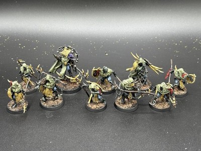Warhammer Age of Sigmar Maggotkin of Nurgle Rotmire Creed Warcry Unit Painted