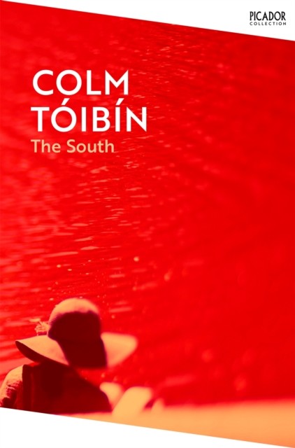 The South by Colm Toibin (Paperback Book)