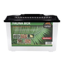 Fauna Box Medium 30x19,5x20,5cm stapelbar Transportbox Quarantäne Terrarium