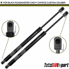 2 Rear Window Glass Lift Supports for Chevy Caprice Buick Oldsmobile Wagon 91-96