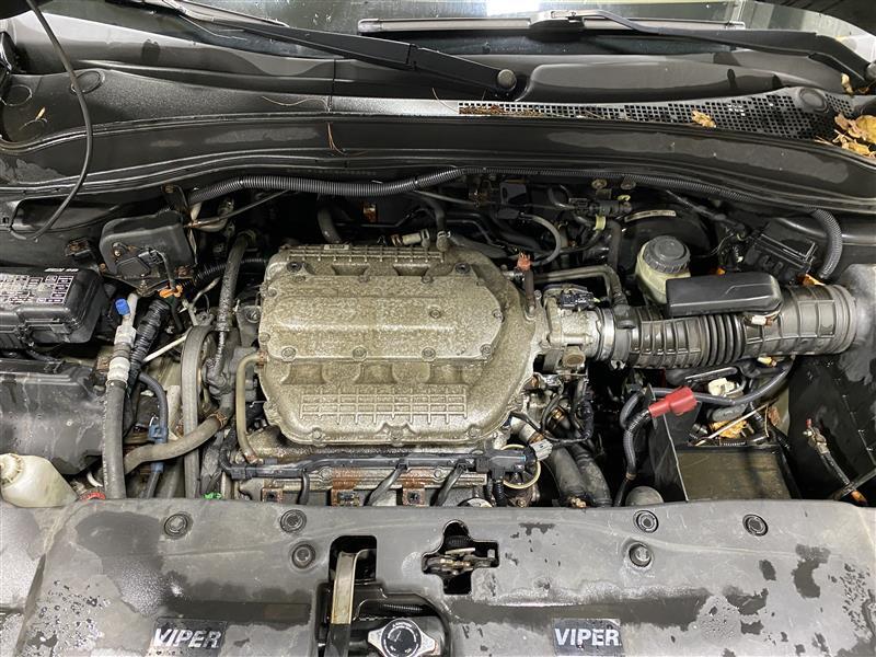 GRILLE Honda Pilot 2006 06 2007 07 2008 08 1168305