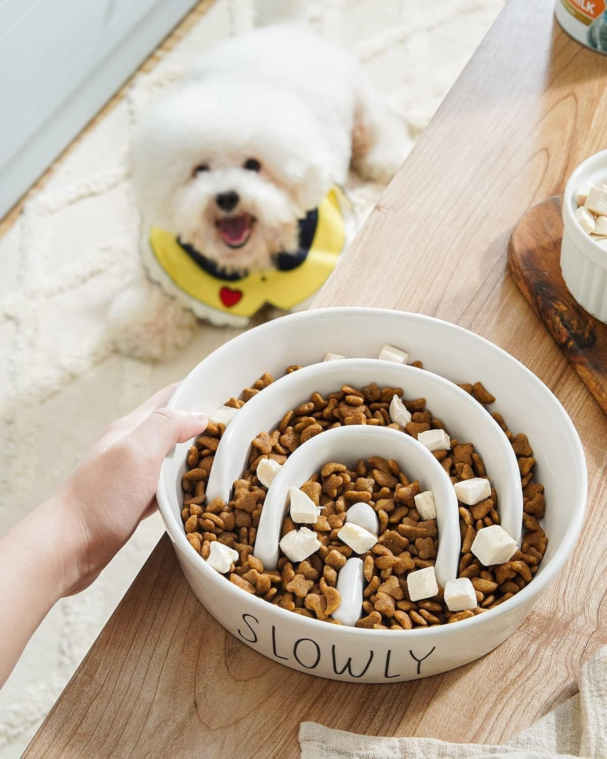 Le Tauci Pet Dog Slow Feeder Bowl Ceramic Puzzle Dog Food Bowl for Sm/Md/Large