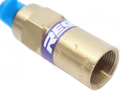 QTY:1 Safety Valve PRV9432T200C 1/4NPT &ex
