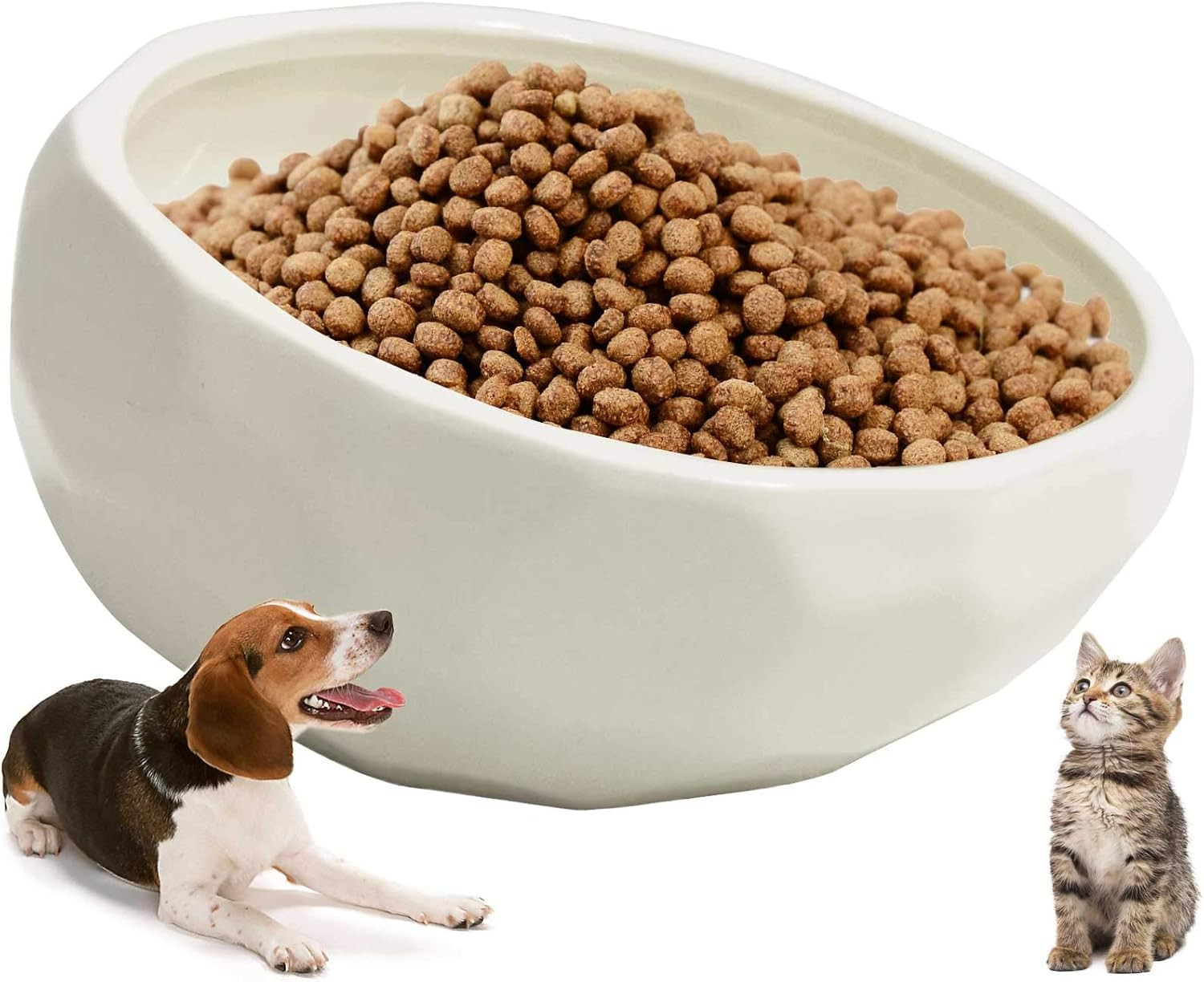 Water Bowls Dish Animal Pet Comfort