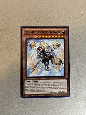 Hrimnir The Divine Follower ALIN-EN082 Common 1st Ed Alliance Insight Yugioh