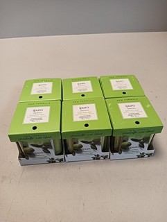 ipuro Essentials Duftkerze LIME LIGHT – 6 × 125 g