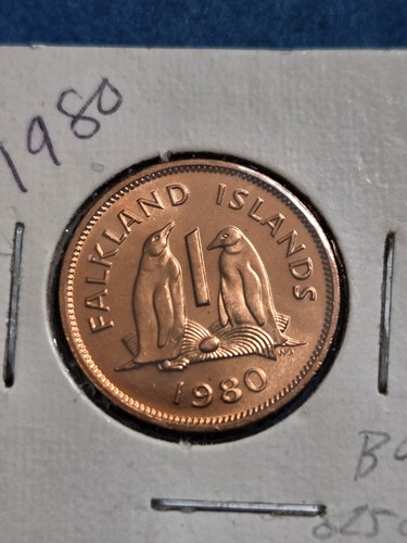 Falkland Islands 1980 Cent British Gentoo Penguins Gem BU(C)-S - Picture 2 of 4