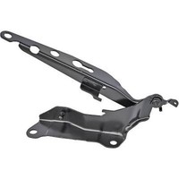 Diederichs 7685019 Scharnier, Motorhaube Links FüR Volvo XC90 I (275) 2002-2014