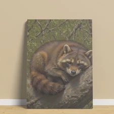Vintage Raccoon Tree Branch Sleep Oil Painting Dorm Home Decor Canvas Painting