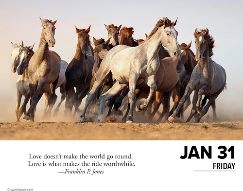 Willow Creek Press What Horses Teach Us Daily 2025 Box/Desk Calendar - Picture 4 of 4