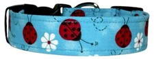 Vibrant Aqua Red Ladybugs  Flowers Handmade Dog Collar