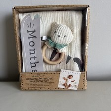 Dream Gro- Growing With Love Milestone Set
