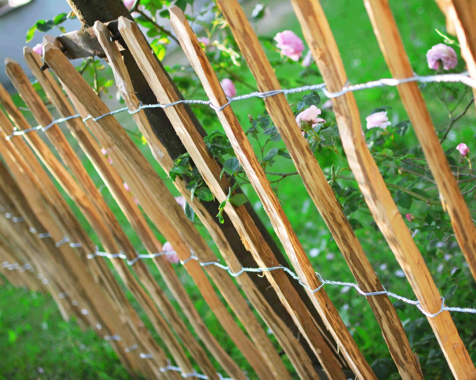 Bogateco Staketenzaun Haselnuss Kastanie HolzZaun 50120cm Hoch