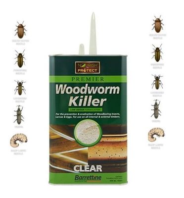 Brandneu Holzwurmvernichter schnelle und effektive Behandlung für Holzwurm 250ml