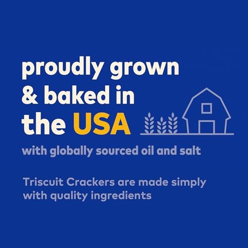 Triscuit Hint of Sea Salt Whole Grain Wheat Crackers 8.5 oz Vegan Snacks