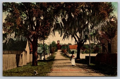 Mechanic Street Gainesville Florida FL c1910 Postcard