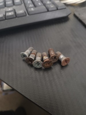 1964 TO 67 EL CAMINO TAILGATE SUPPORT HINGE SCREWS Original 6 ONLY