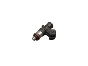 Einspritzventil Einspritzdüse für RENAULT  CLIO III (BR0/1, CR0/1) 1.2 820029259