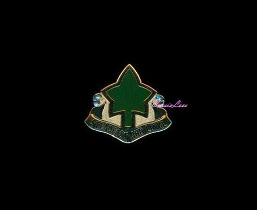 USA 4th Div. Steadfast + a custom promo pin