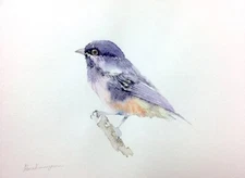 Coal Tit,  Birds, Watercolor artwork, Handmade, Original painting on paper