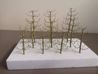 Picture 2 of 6