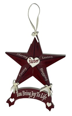 Lovely  You Bring Joy To Life  Hanging Metal Sister Star (J)