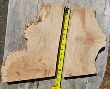 Maple Wood Burl Set of TWO Slab Boards