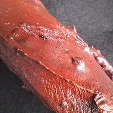 A+++ Bonsai Suiseki Volcanic Stone Rare Lava Rock Pareidolia specimen Stalactite