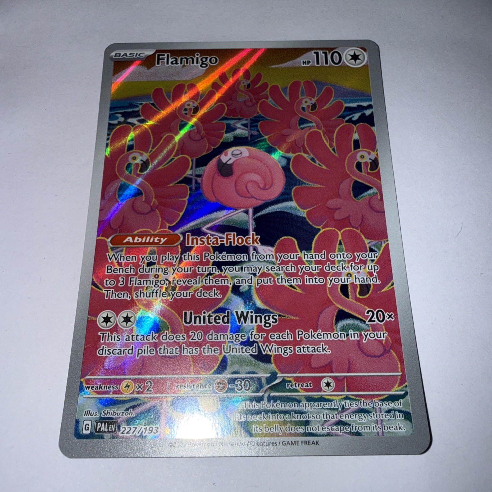 Flamigo 227/193 Illustration Rare Pokemon TCGScarlet & Violet Paldea Evolved 