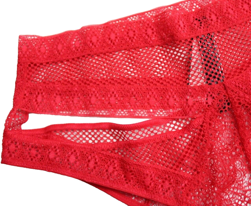 Victoria's Secret Fishnet Lace Cutout High Waist Cheekini Panty Size XS Red - Picture 3 of 5