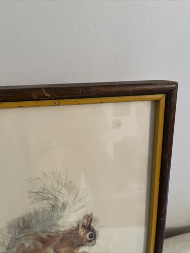 Vintage Mads Bühne Aquarell Eichhörnchen 1970er Jahre Druck 10""x14"" Dänemark dänisches Holz - Bild 4 von 6