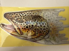 HIGH DEFINITION TROUT FISHING STICKER BROWN TROUT FISHING BOX STICKER LAPTOP