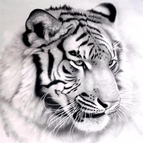 5D Full Drill Diamond Painting Art Cartoon Cross Stitch Kits Home Decor DIY - Picture 38 of 59