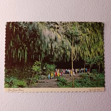 Fern Grotto Wailua River Boat Cruise Garden Islands Of Kauai Hawaii Postcard