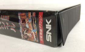 JPN Fatal Fury Special NEO GEO AES Case & Game NO MANUAL Japan NEOGEO Ships USA